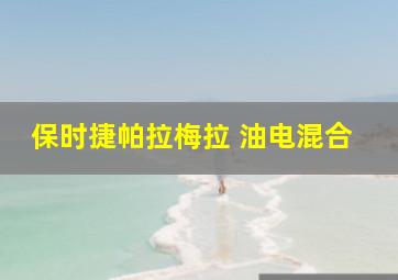 保时捷帕拉梅拉 油电混合